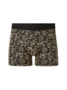 Celio Jibomystik Boxer shorts