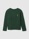 GAP Jersey infantil