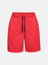 Under Armour Tech Mesh Short pants