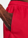 Under Armour Tech Mesh Short pants