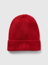 GAP Gorro Conlosay