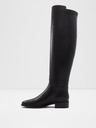 Aldo Aahliyah Tall boots