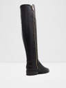 Aldo Aahliyah Tall boots