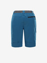 ALPINE PRO Zamb Short pants