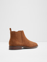 Aldo Gweracien Ankle boots