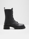 Aldo Allea Ankle boots