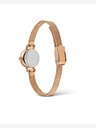 Daniel Wellington Petite Mini 19 Melrose Watches