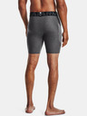 Under Armour UA HG Armour Short pants